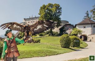 Burg Hohenwerfen (c) SalzburgerLand Tourismus